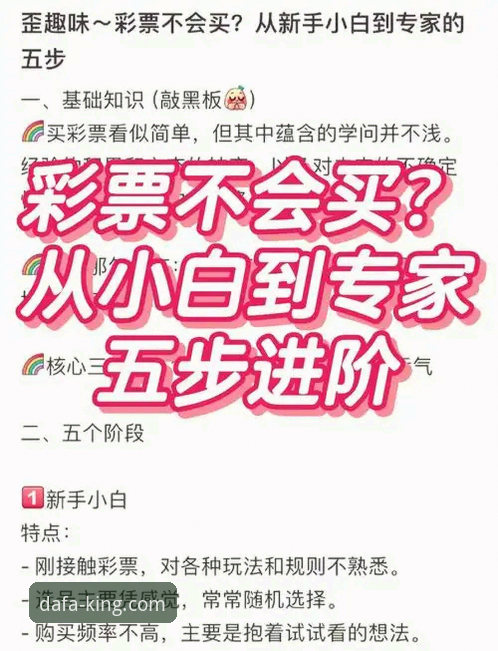 揭秘大发彩票使用教程：从入门到精通的全维度解析